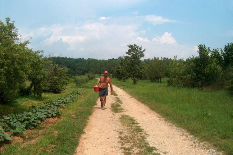 Paolo e la raccolta degli ortaggi