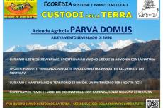 Parva Domus