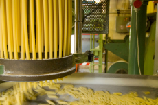 lavorazione della pasta